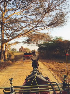 Processed with VSCO with f2 preset