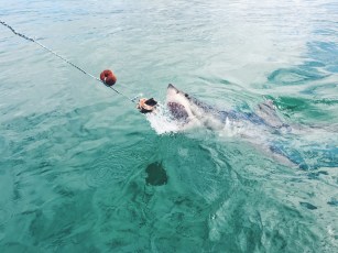 Processed with VSCO with f2 preset